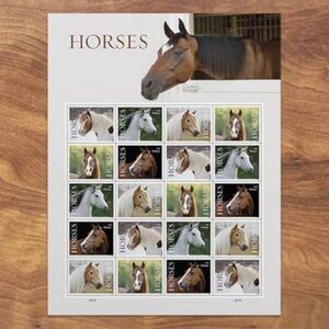 🐎 2024 USPS Horses Forever Stamps | 5 Sheets (100 Total) | Brand New